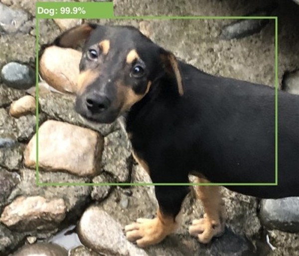 iOS 13或將參與AI拍攝辨認功用 想跨越安卓有點困難