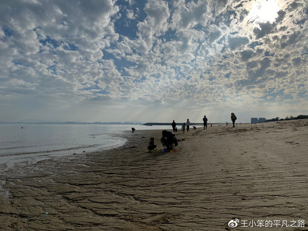 iPhone 11樣張（圖片來自@王小笨的一般之路）