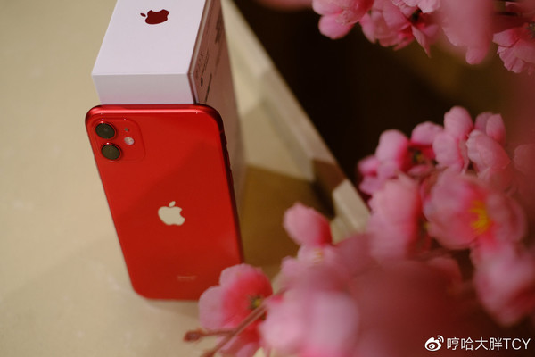 iPhone 11（圖片來自@哼哈大胖TCY）
